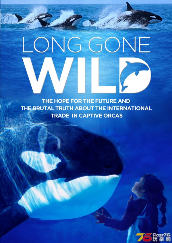 LongGoneWIldpostermainimagebig599.jpg