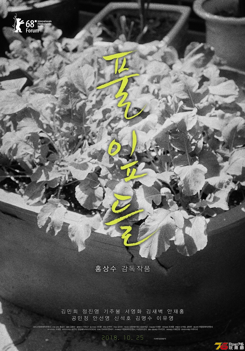 풀잎들.jpg