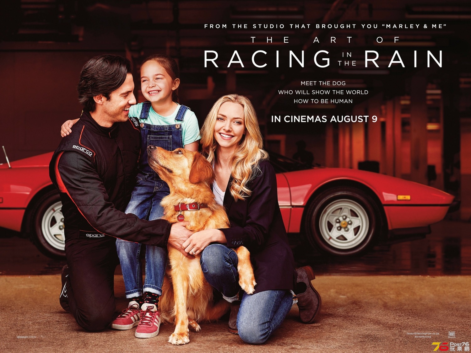 art_of_racing_in_the_rain_ver2_xlg.jpg