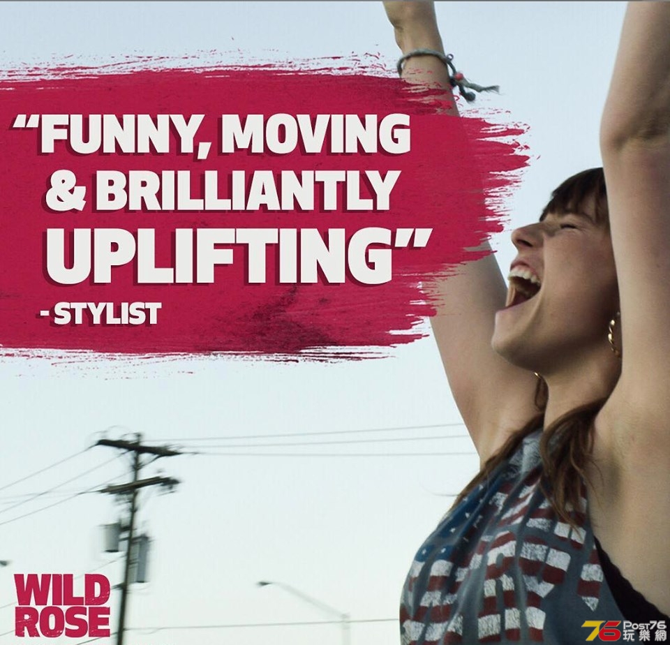wild rose.jpg