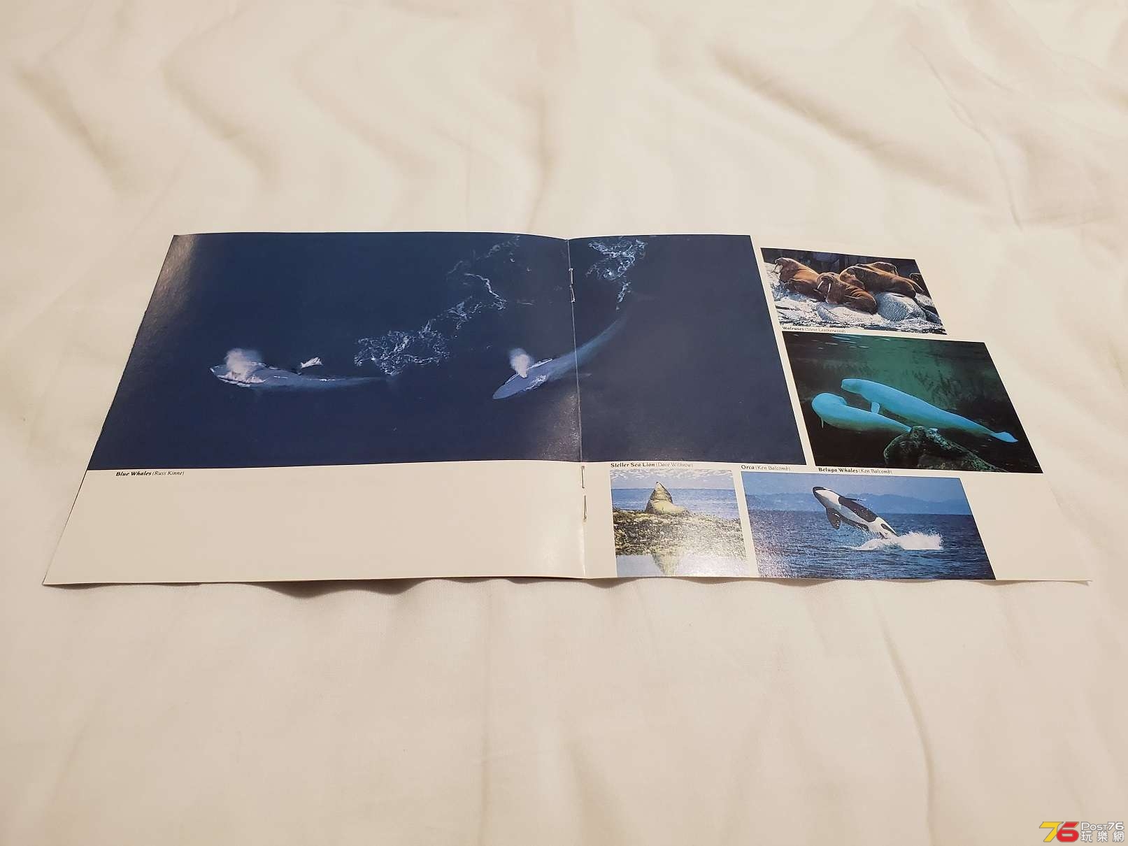 20190627_001820.jpg