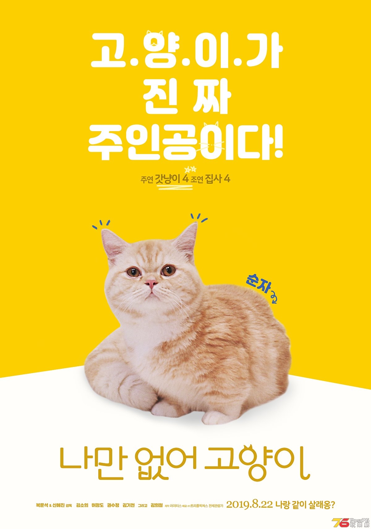 CAT_tpo4_fin.jpg