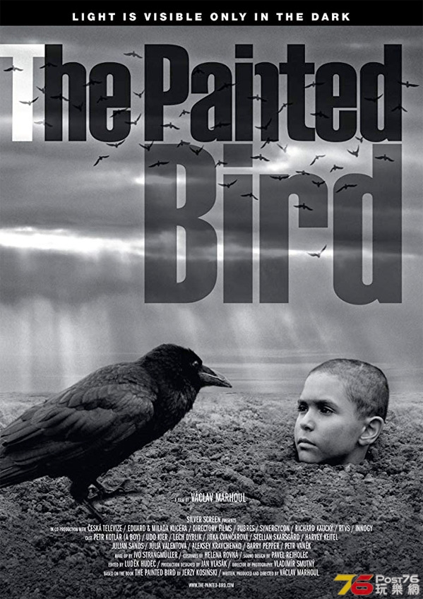 The Painted Bird.jpg