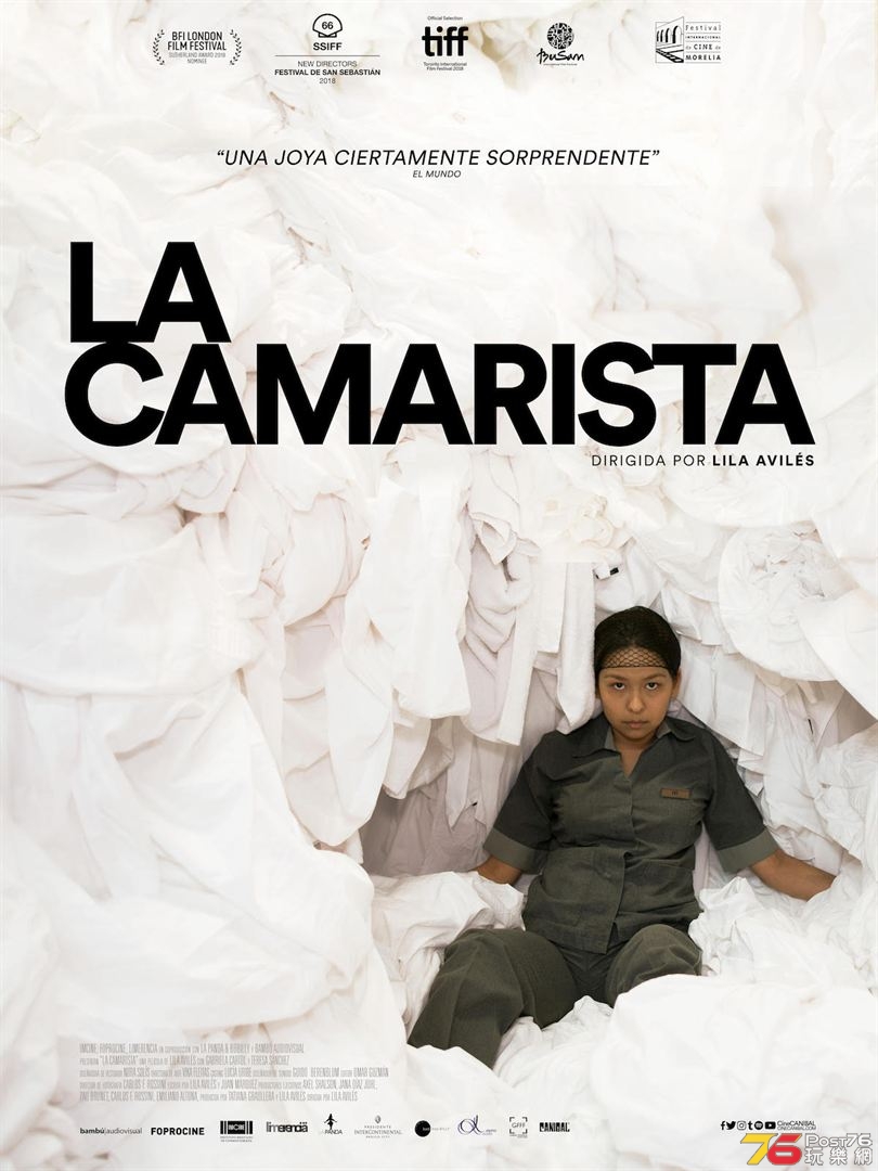 La Camarista.jpg