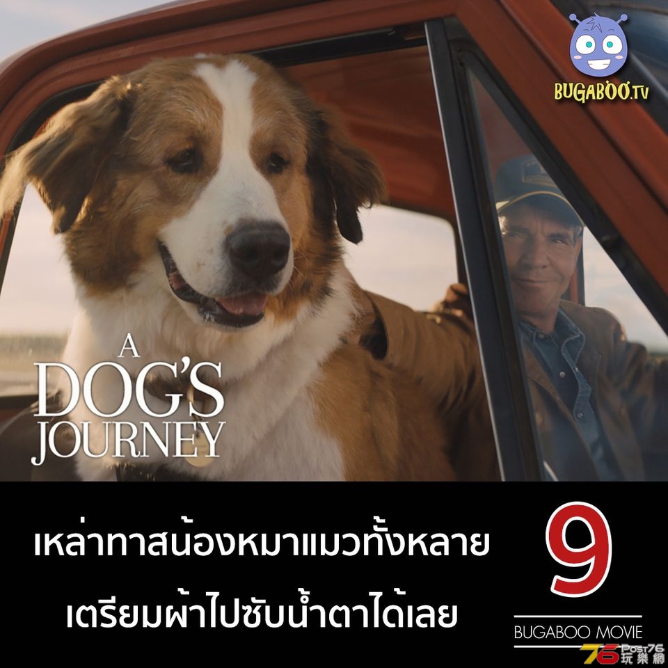 หมาเป้าหมายและเด็กชายของผม2.jpg
