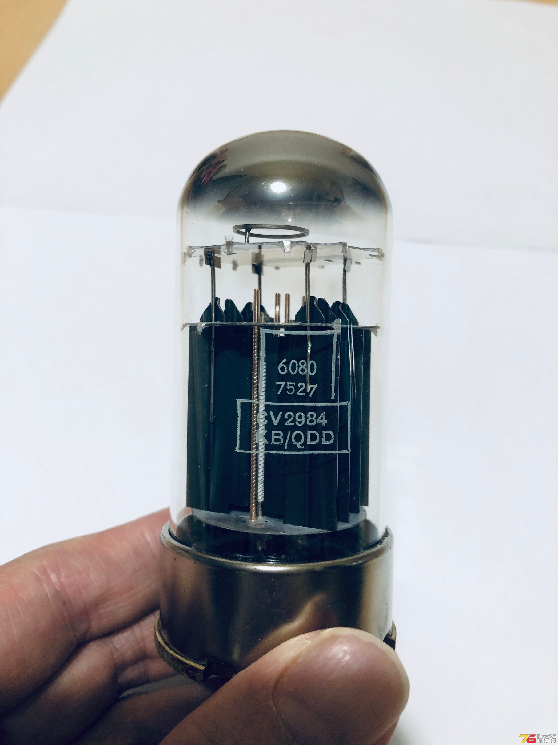 20190805_095555907_iOS.jpg