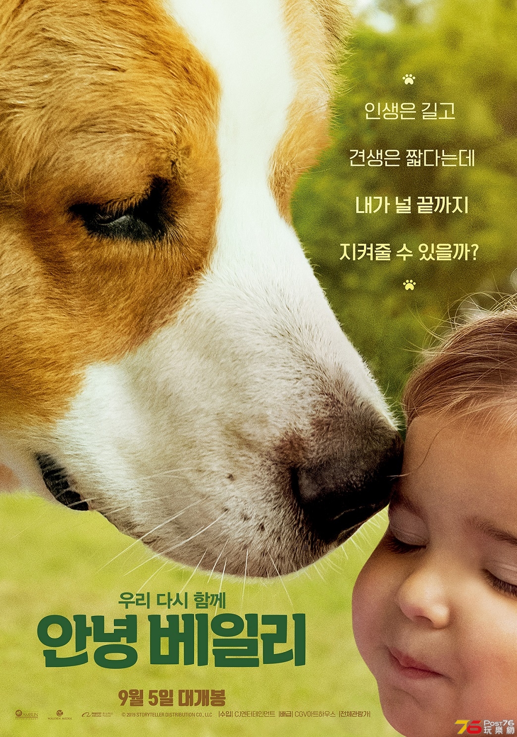안녕 베일리.jpg
