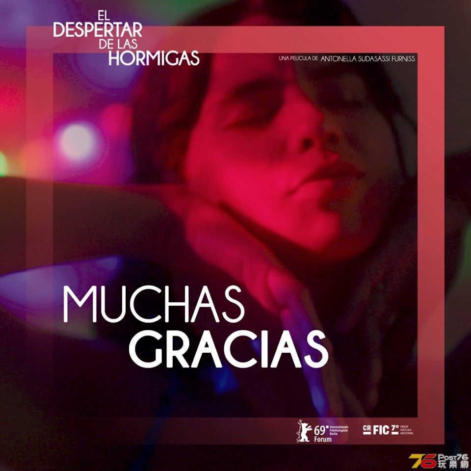 El despertar de las hormigas2.jpg