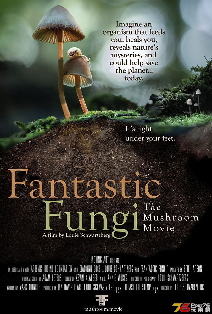 Fantastic Fungi.jpg