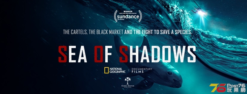 Sea of Shadows 1.jpg