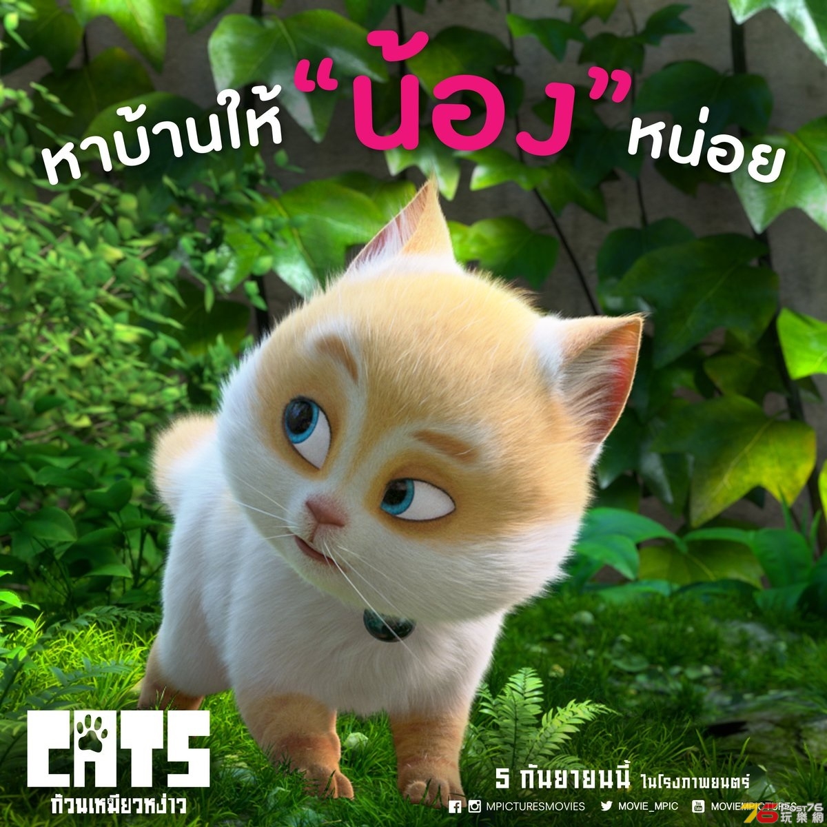 ก๊วนเหมียวหง่าว Cats 6.jpg