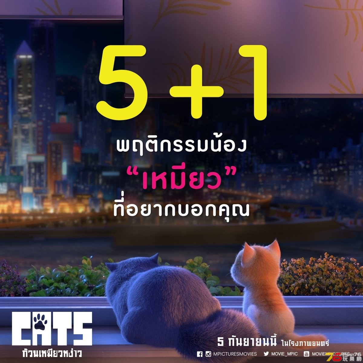 ก๊วนเหมียวหง่าว Cats 5.jpg