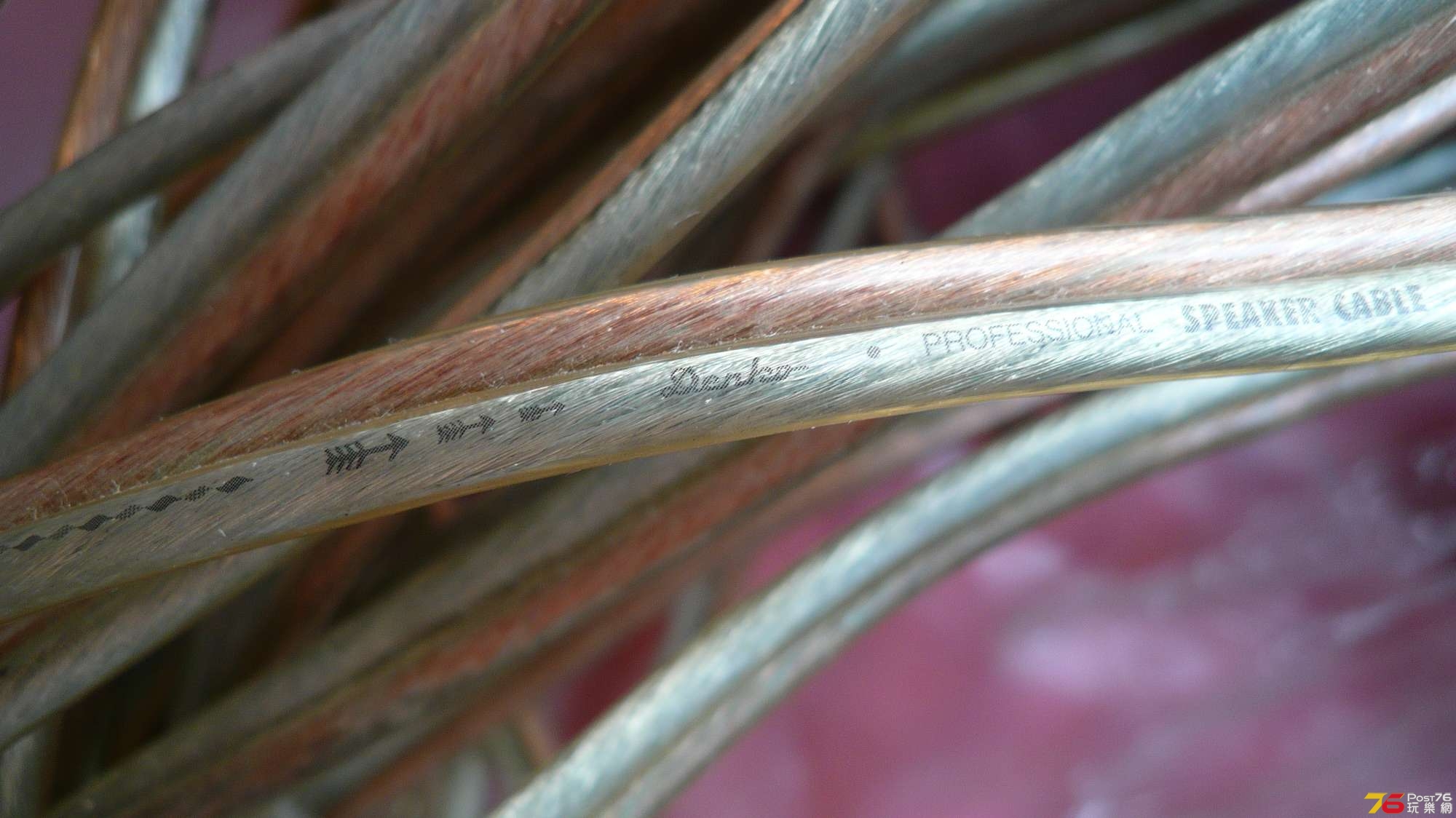 P1020320.JPG