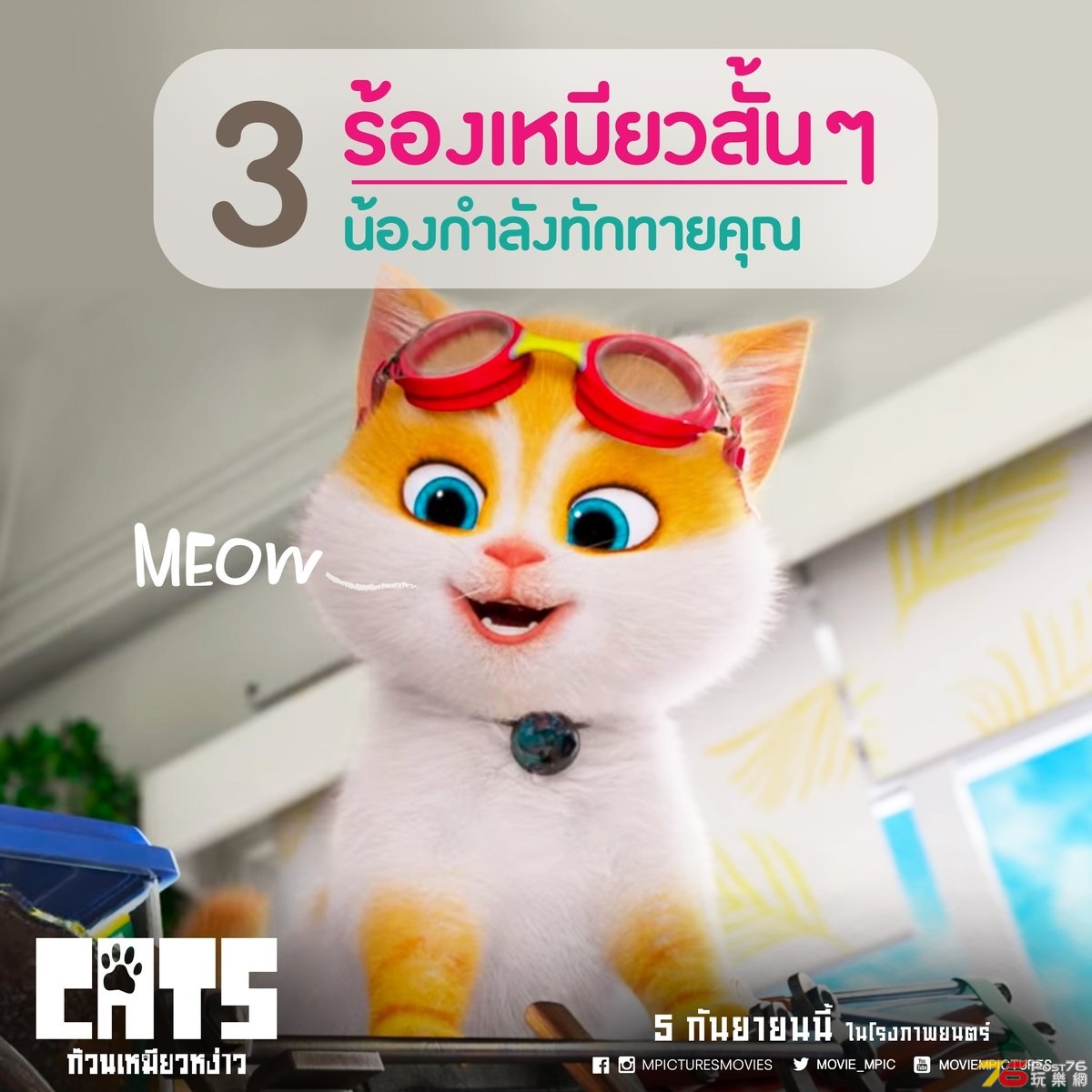 ก๊วนเหมียวหง่าว Cats 4.jpg