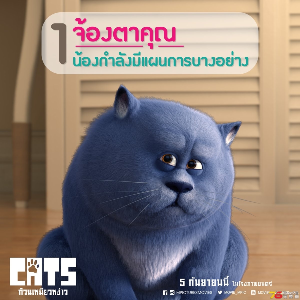 ก๊วนเหมียวหง่าว Cats 2.jpg