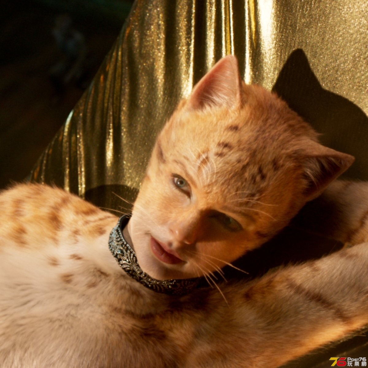 cats2.jpg