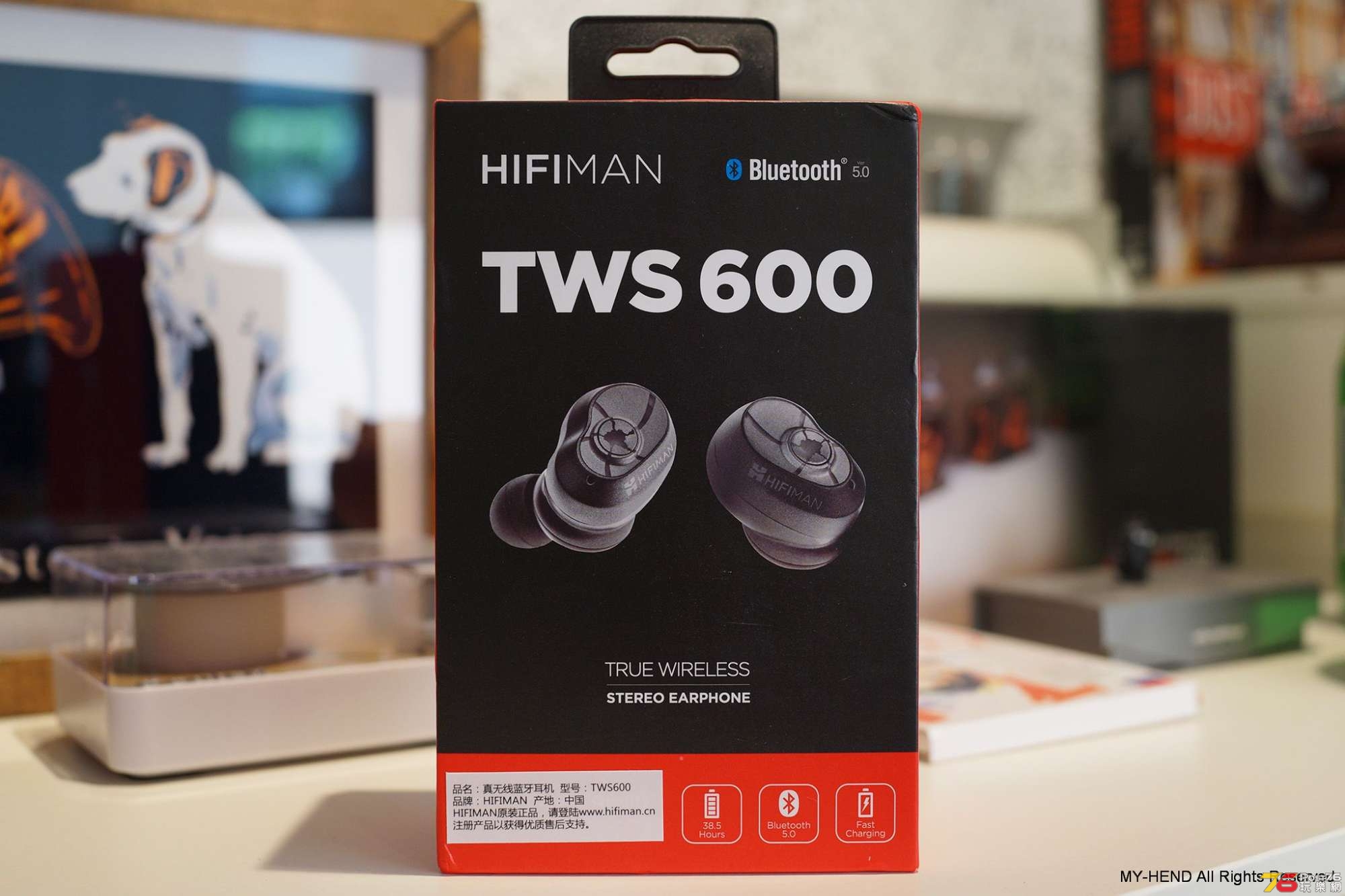 hifiman_tws600_081.jpg