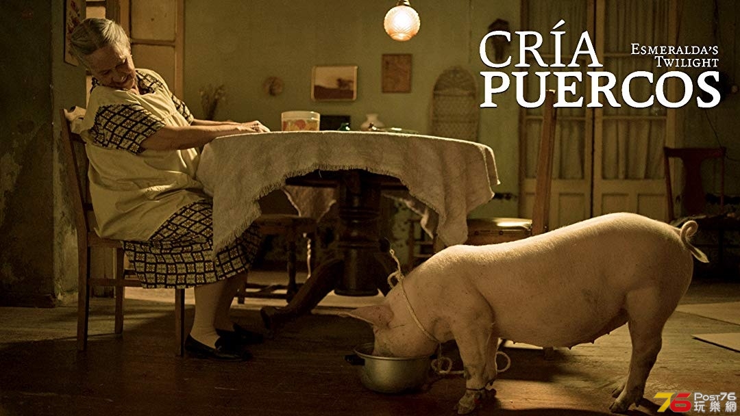 cría puercos 2.jpg
