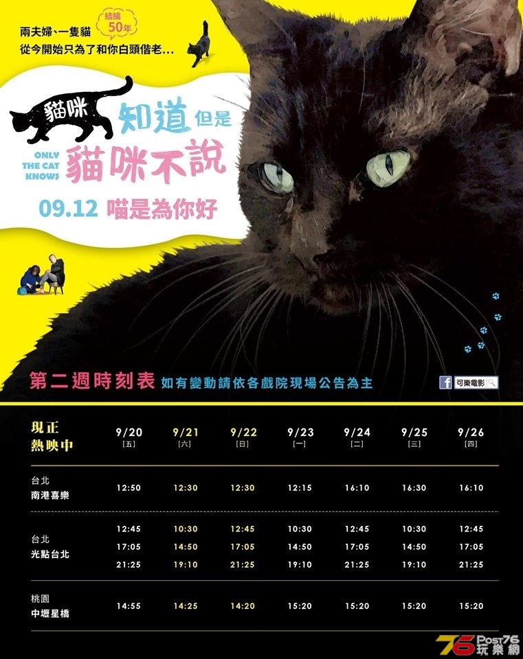 貓咪知道但是貓咪不說.jpg