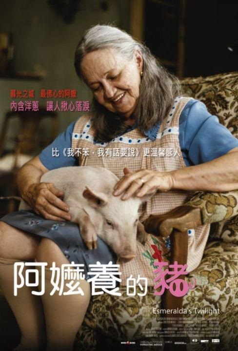 阿嬤養的豬.jpg