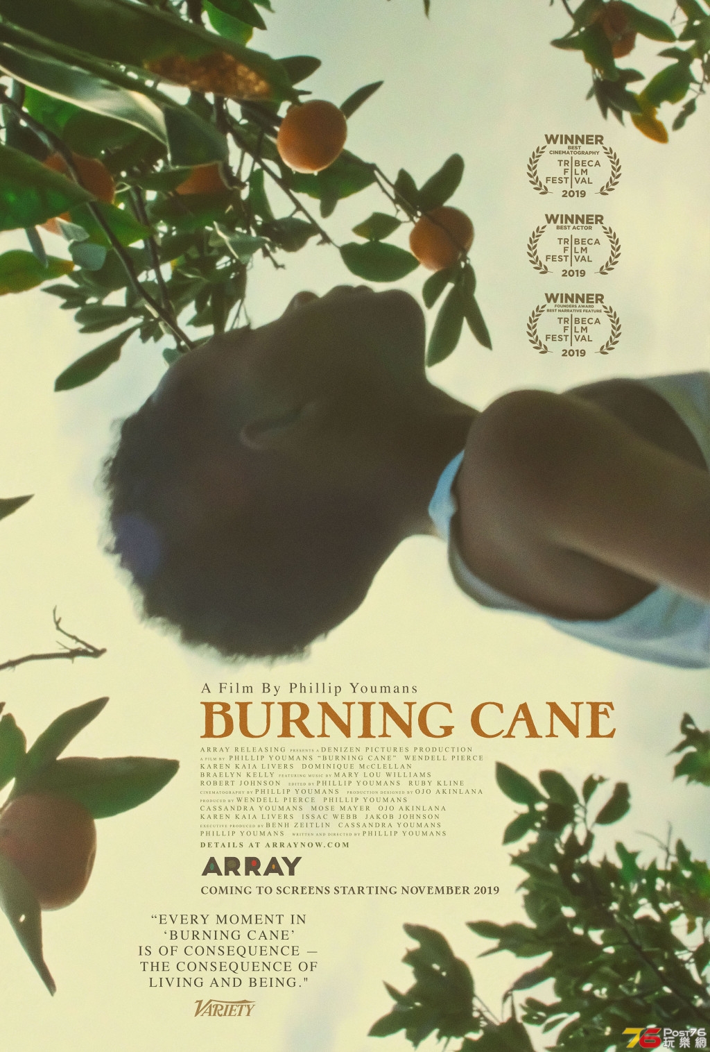 burningcane_keyart_final-highres.jpg