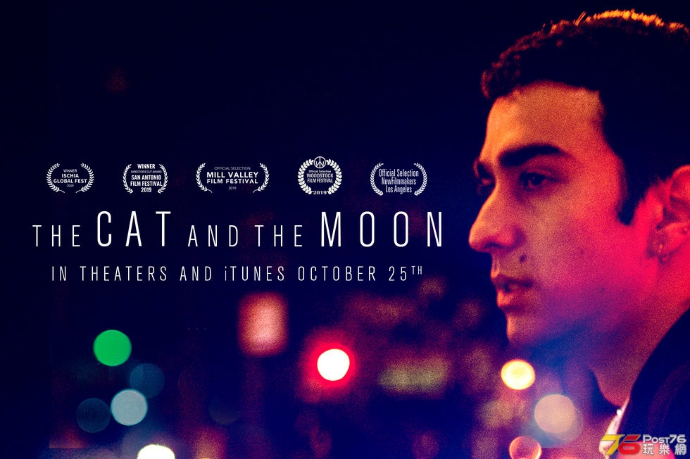 The Cat And The Moon.jpg