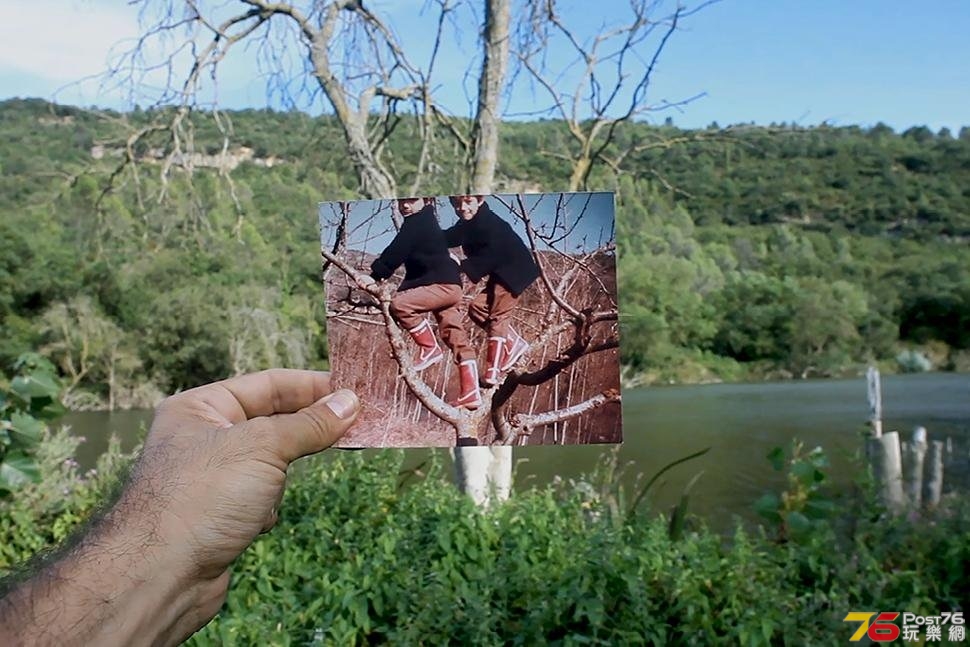 Zumiriki1.jpg
