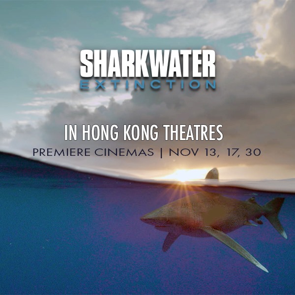 Sharkwater Extinction3.jpg