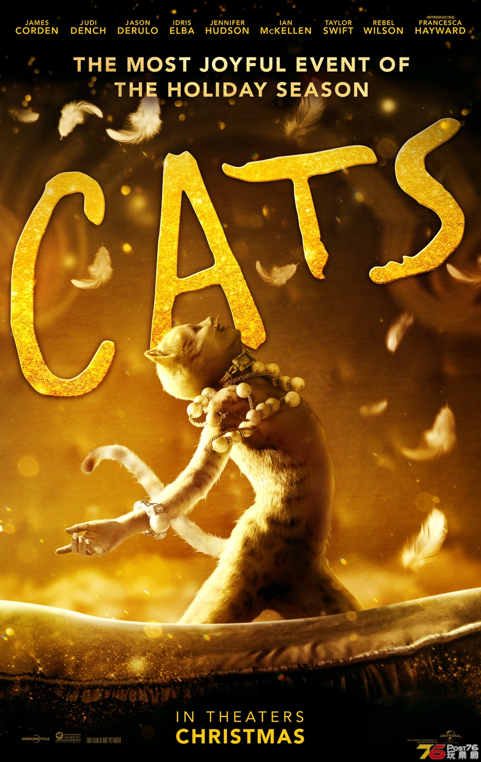Cats3.jpg