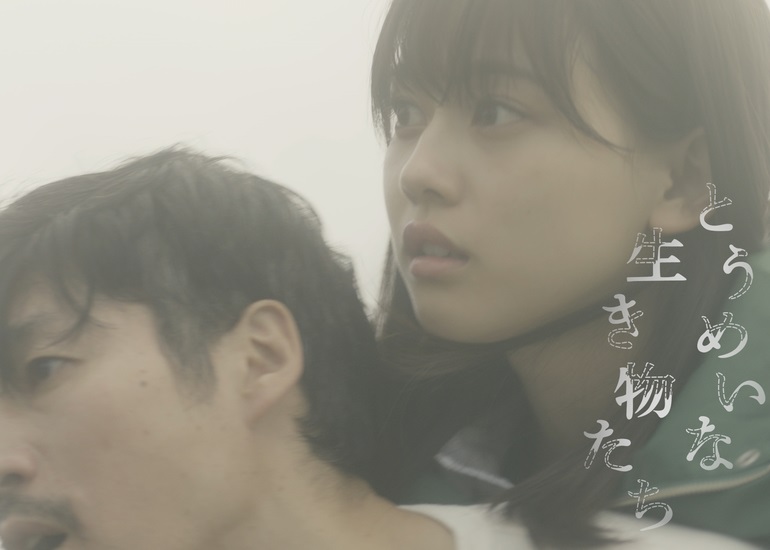 とうめいな生き物たち.jpg