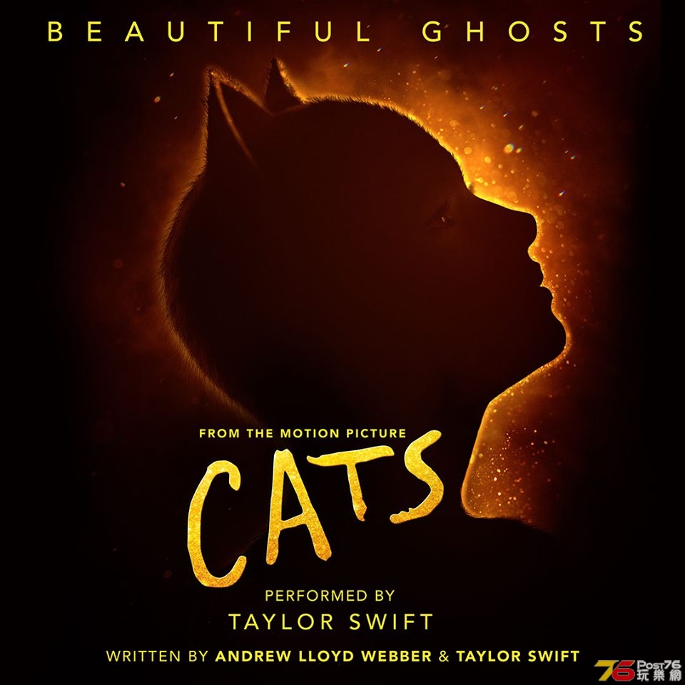 Cats3.jpg