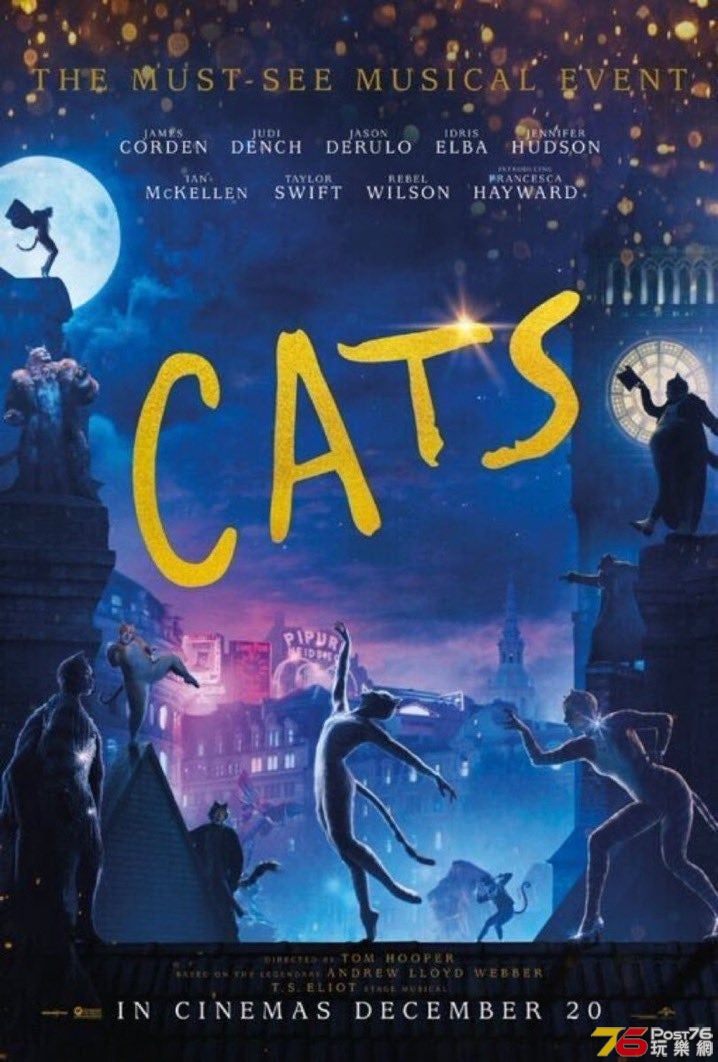 cats 3.jpg