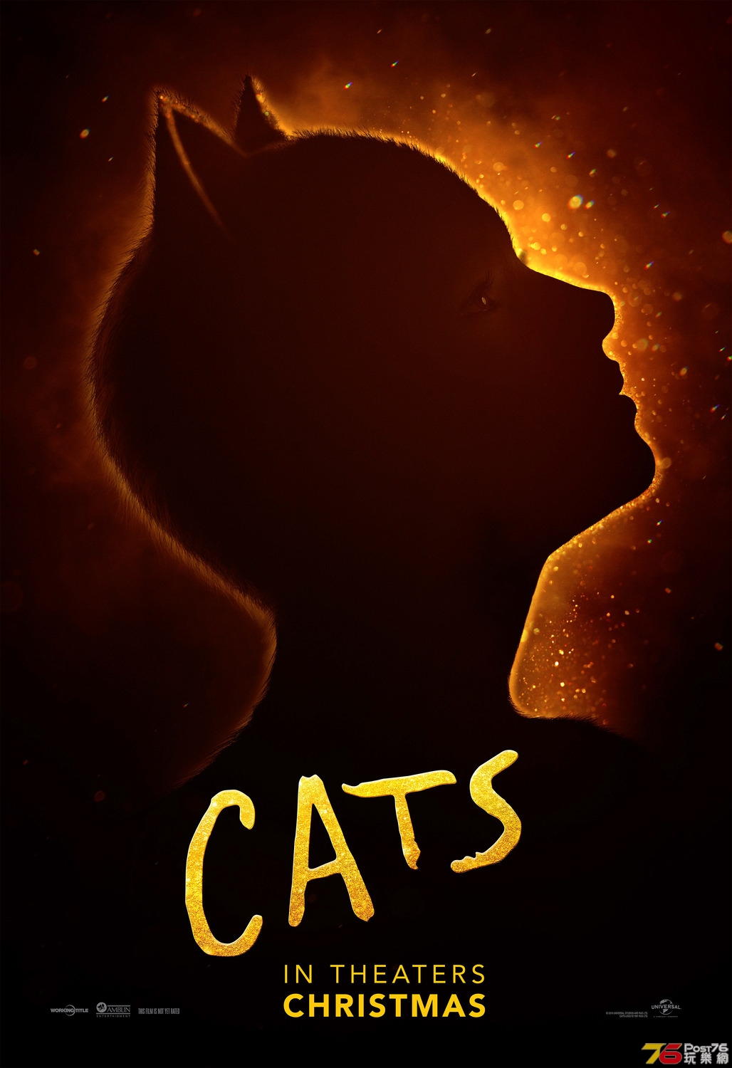 Cats3.jpg
