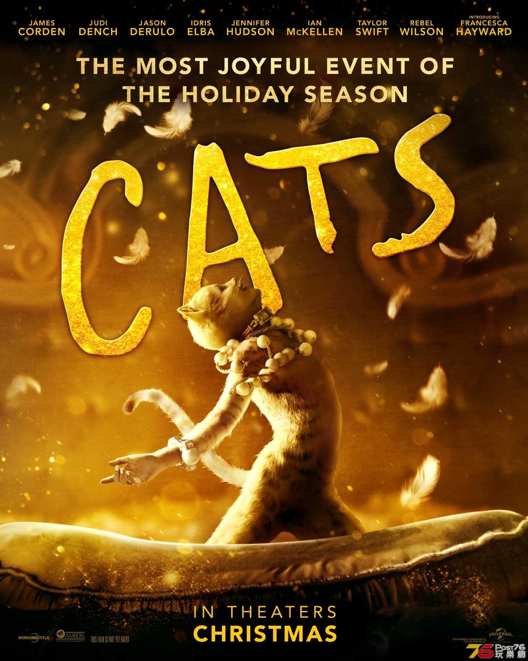 cats4.jpg