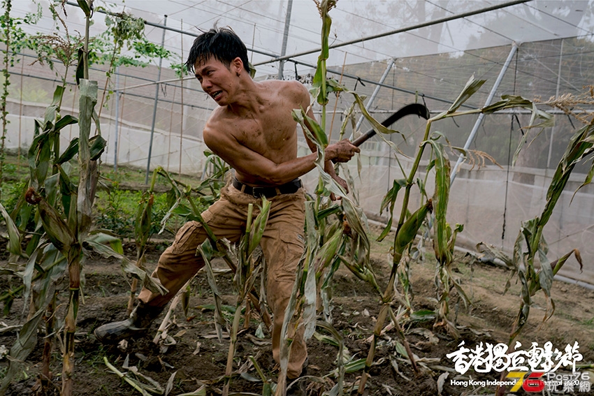 hkindieff-boluomi.jpg