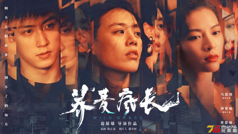 蕎麥瘋長3.jpg