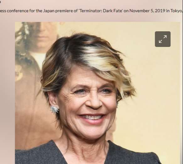 Linda Hamilton attends the press conference for the Japan premiere of    News Ph.jpg