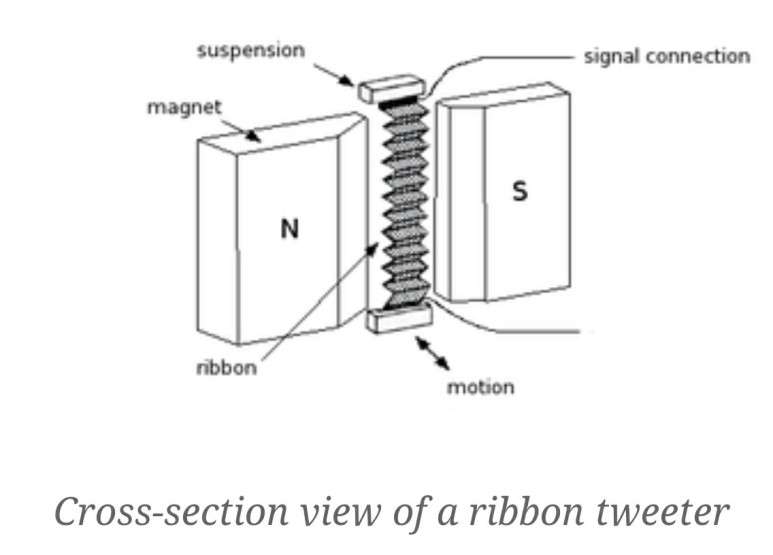 145880205_4009400999084548_4776822757043026054_n.jpg