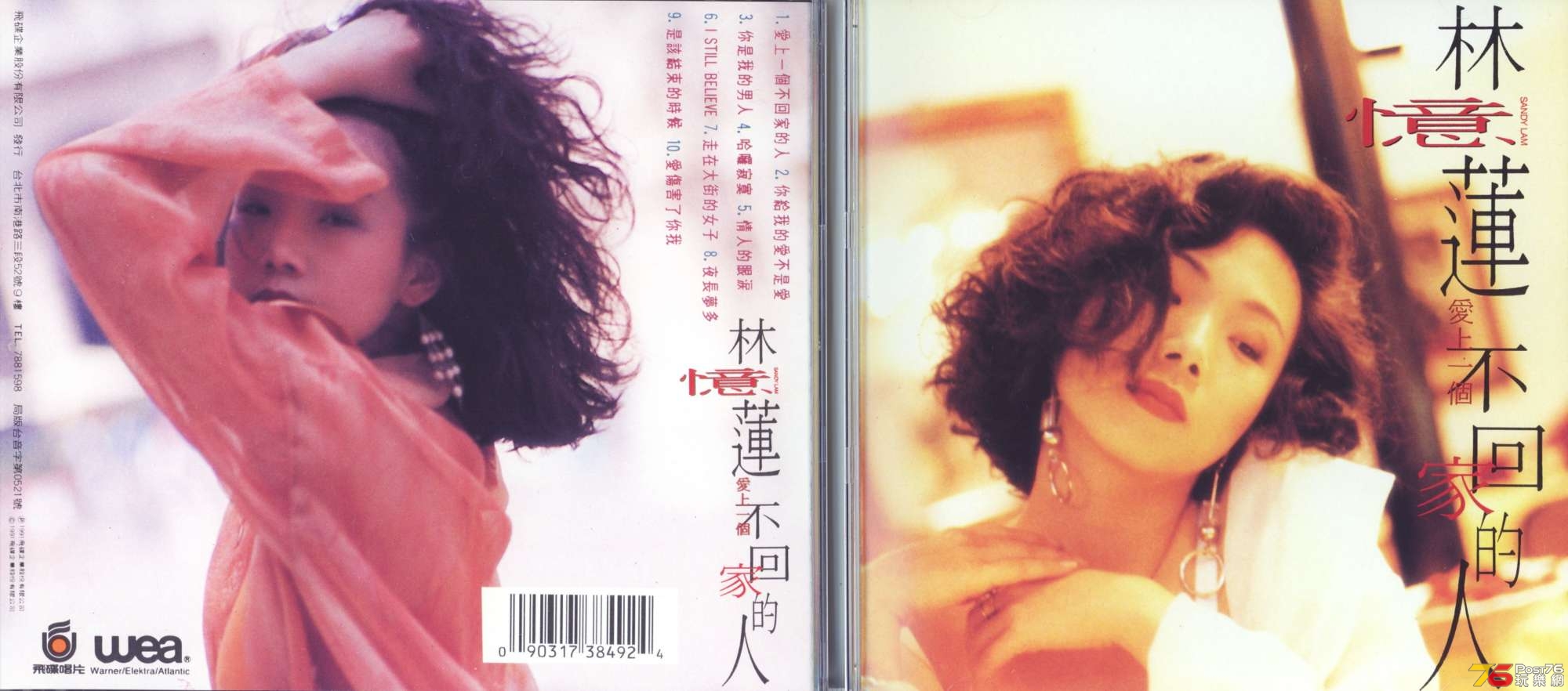 sandyLam91mandarin.jpg