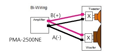 bi-wiring-biwiring.fit_lim.size_800x.jpg