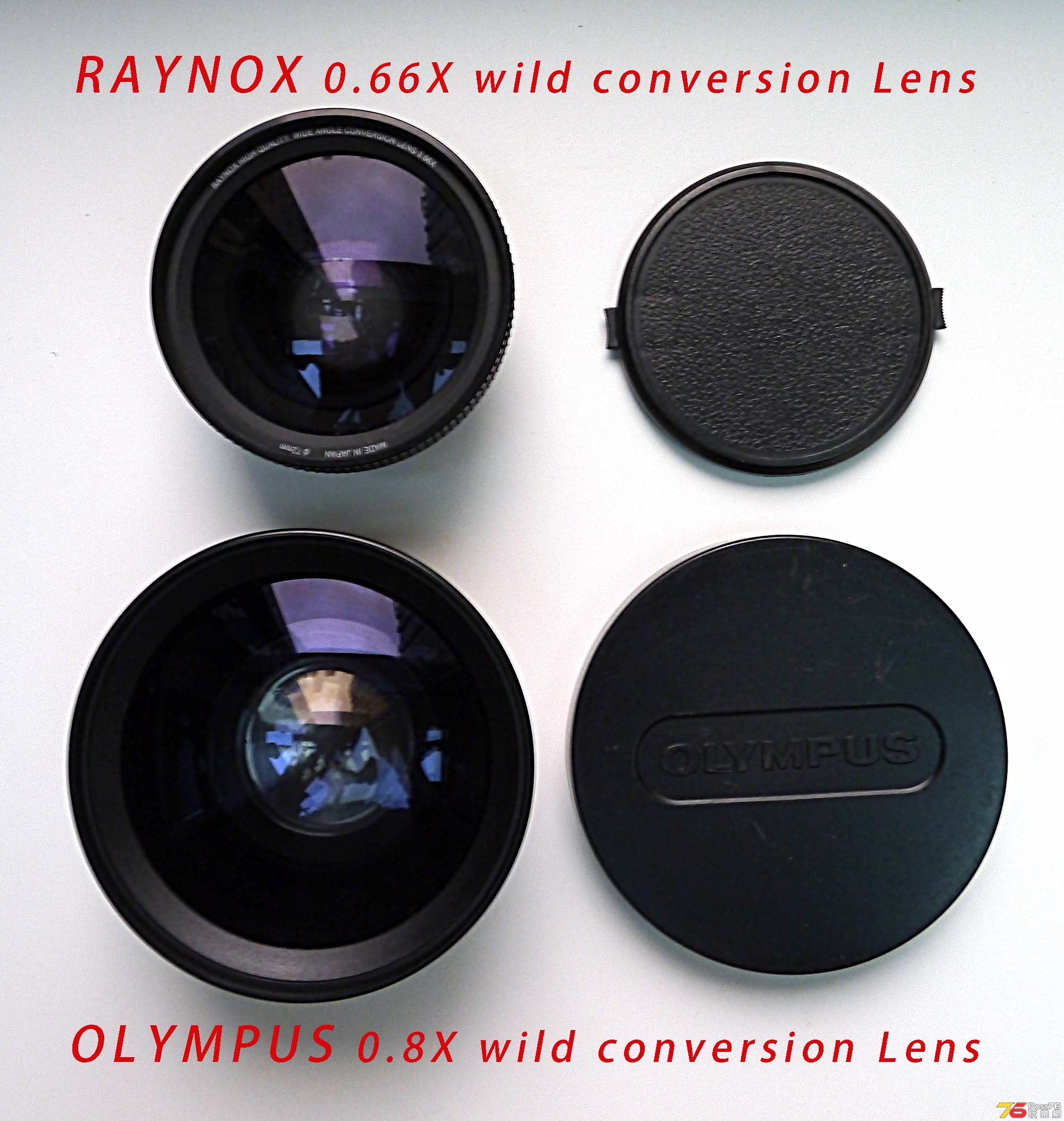 WildAngleLens-1.jpg
