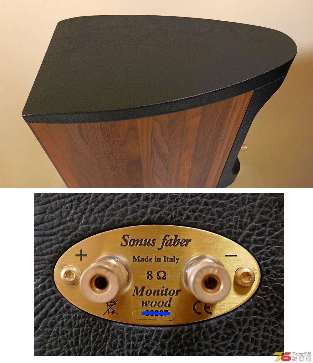 Sonus Faber Spk_8.jpg