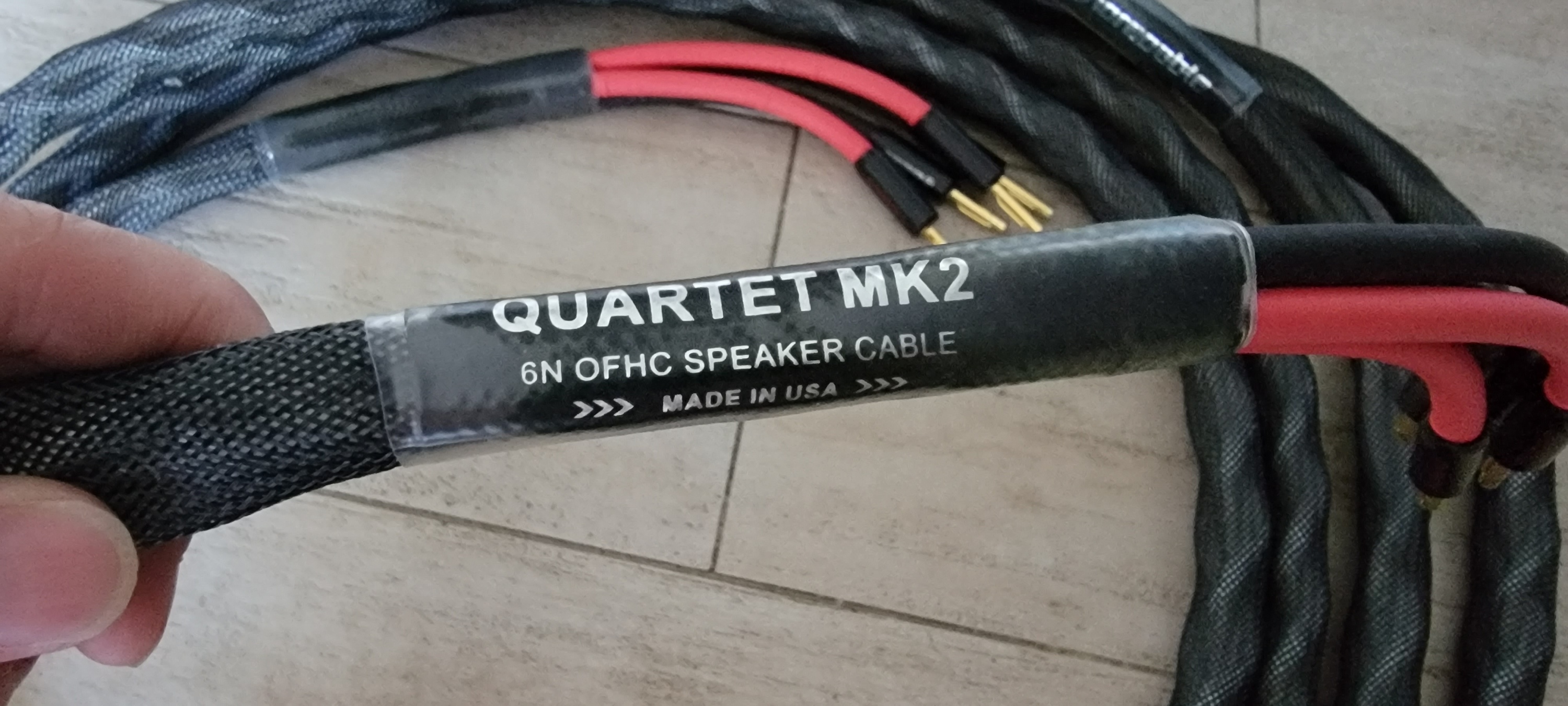 P1.jpg