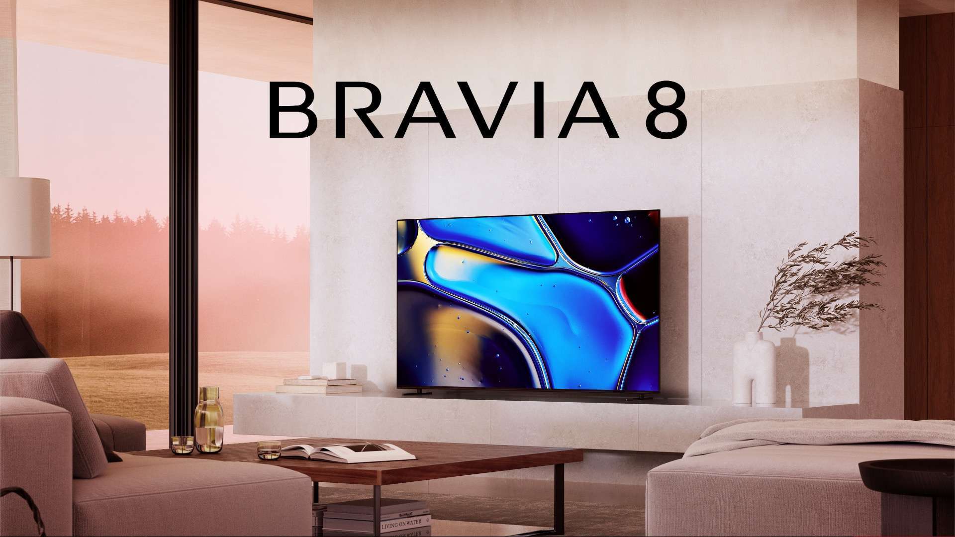 Bravia8.jpeg