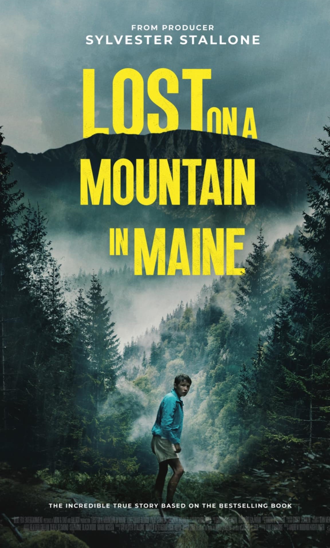 Lost on a Mountain in Maine.jpg