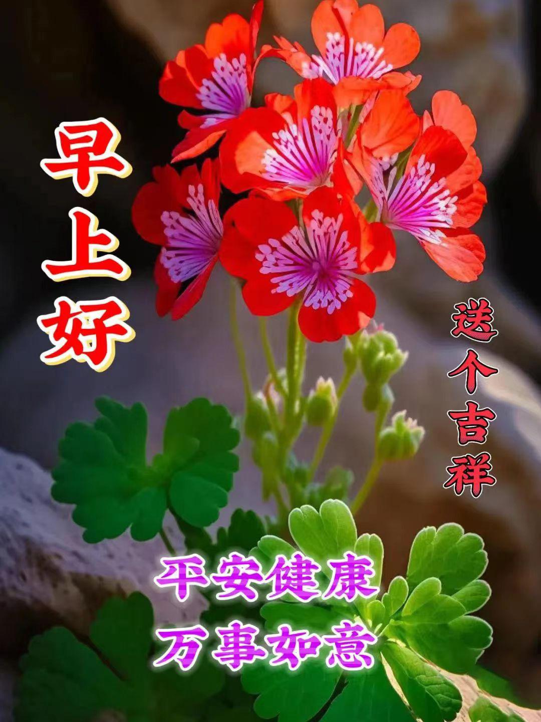 60a3364d-924c-49d5-8bac-7ac8ba9bd79b.jpeg