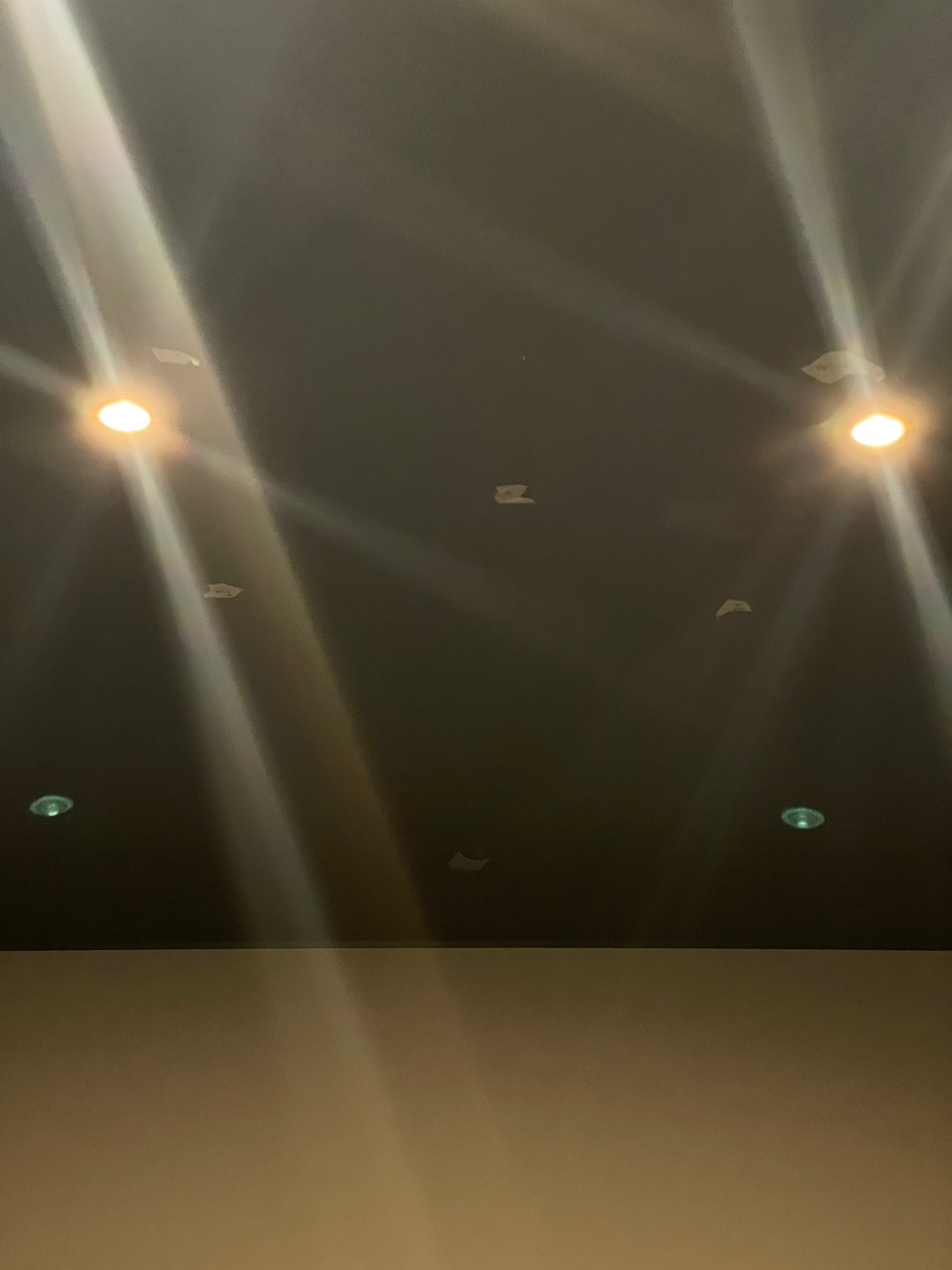 IMG_7695.jpeg