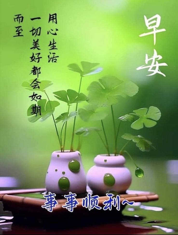 5e1fd3df-8eef-467d-a049-f808b2612c90.jpeg