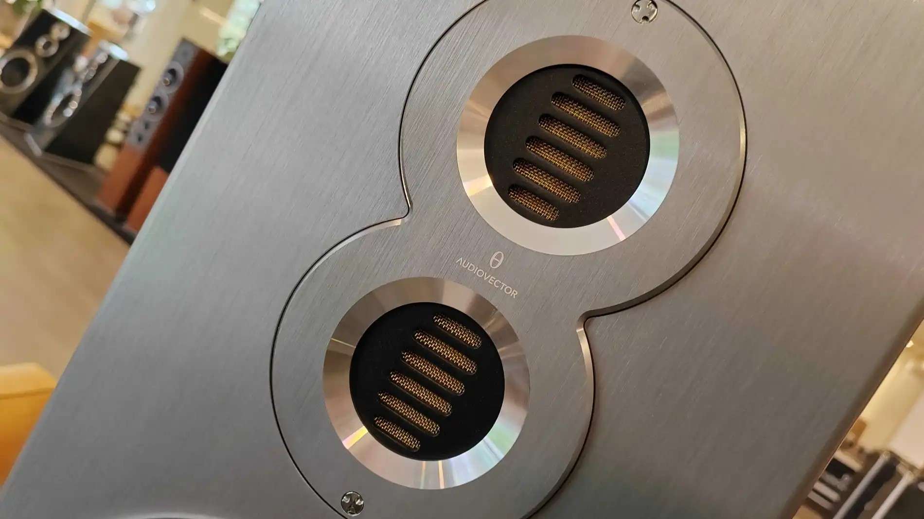Audiovector R10 AMT drivers.jpg