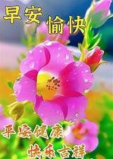 IMG_0211.jpeg